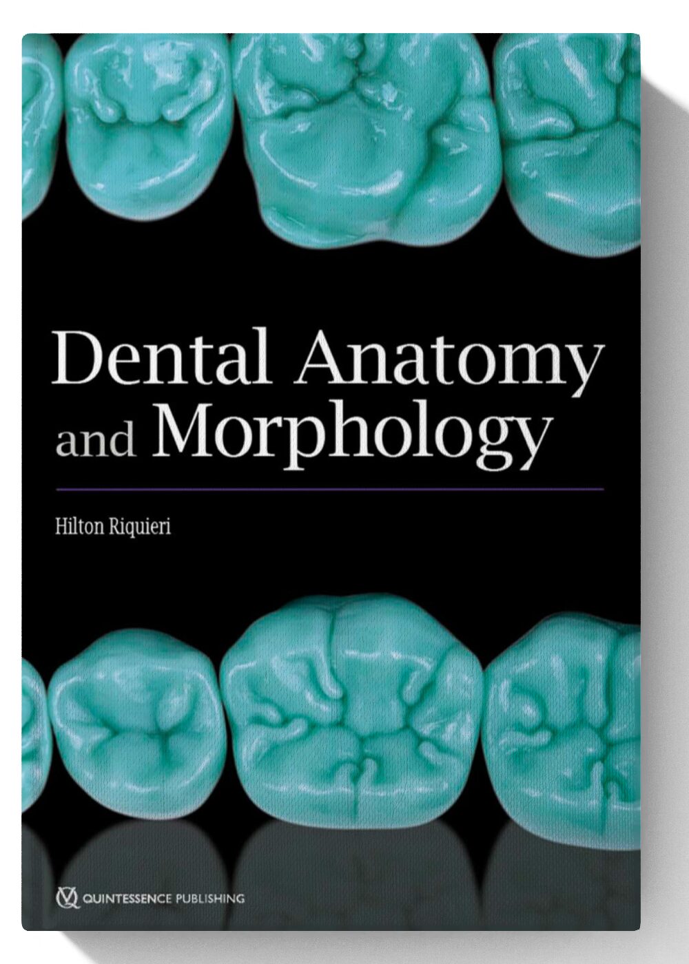 Dental Anatomy and Morphology 1st Edition